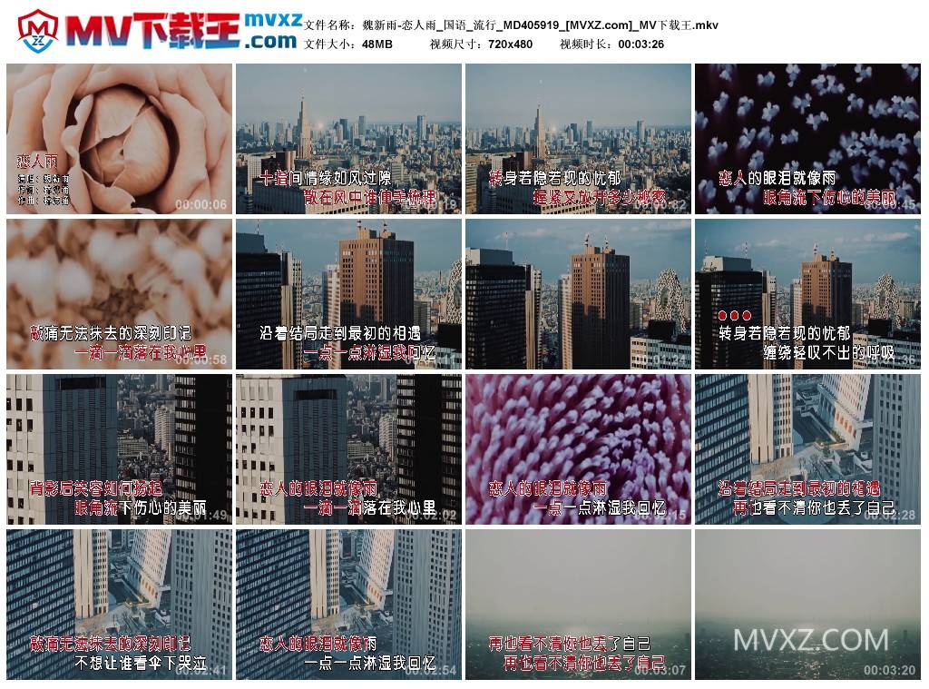 魏新雨-恋人雨_国语_流行_MD405919